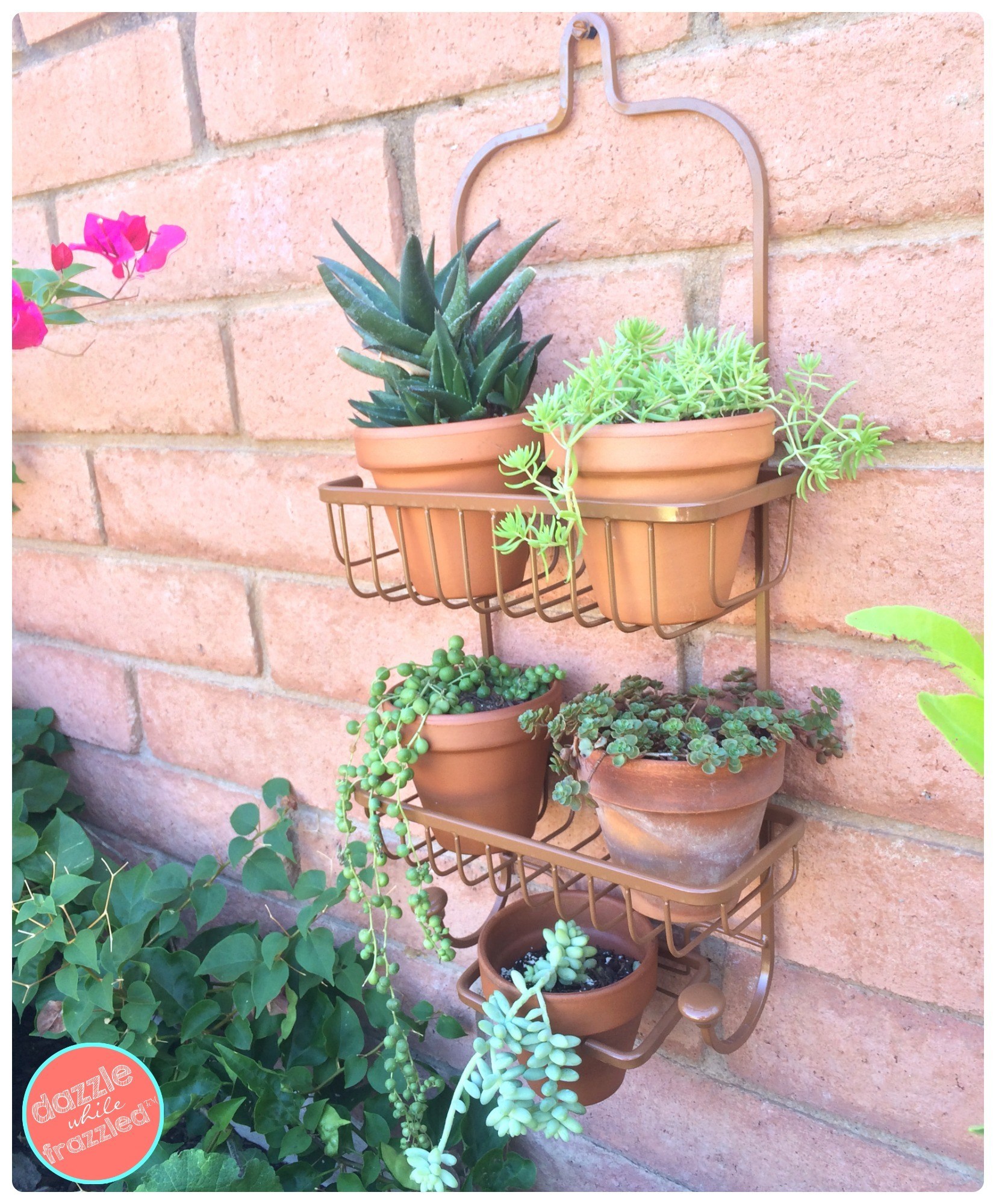 How to Use a Shower Caddy as a Vertical Planter